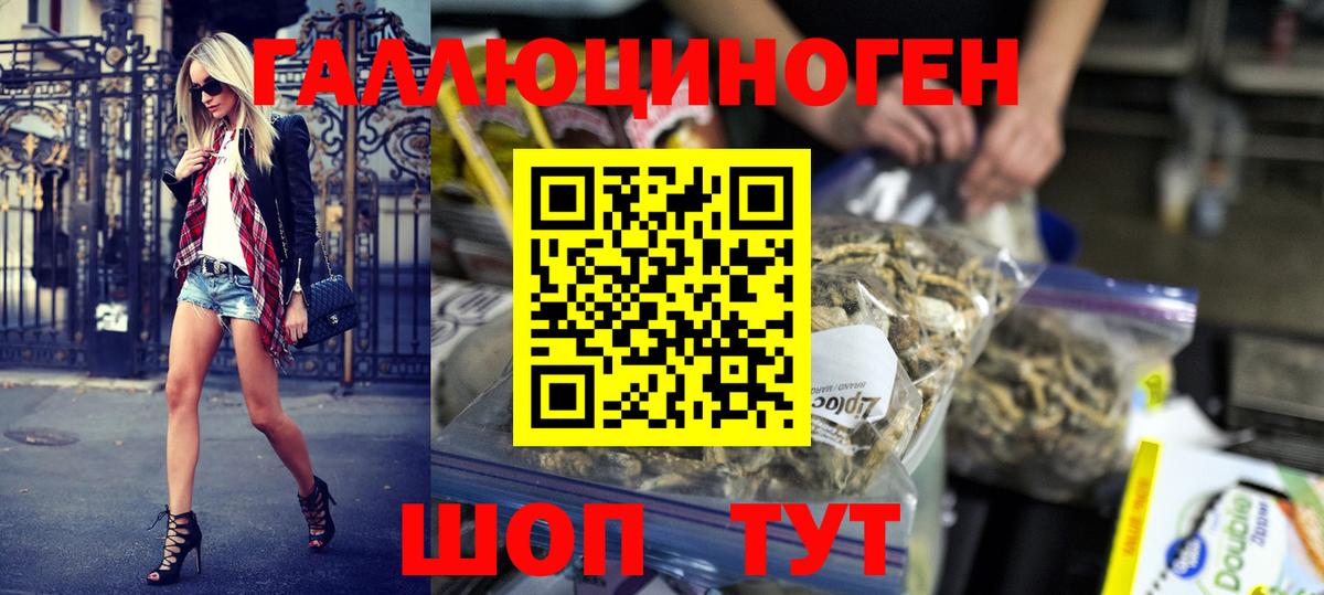 Псилоцибиновые грибы прущие грибы Грозный